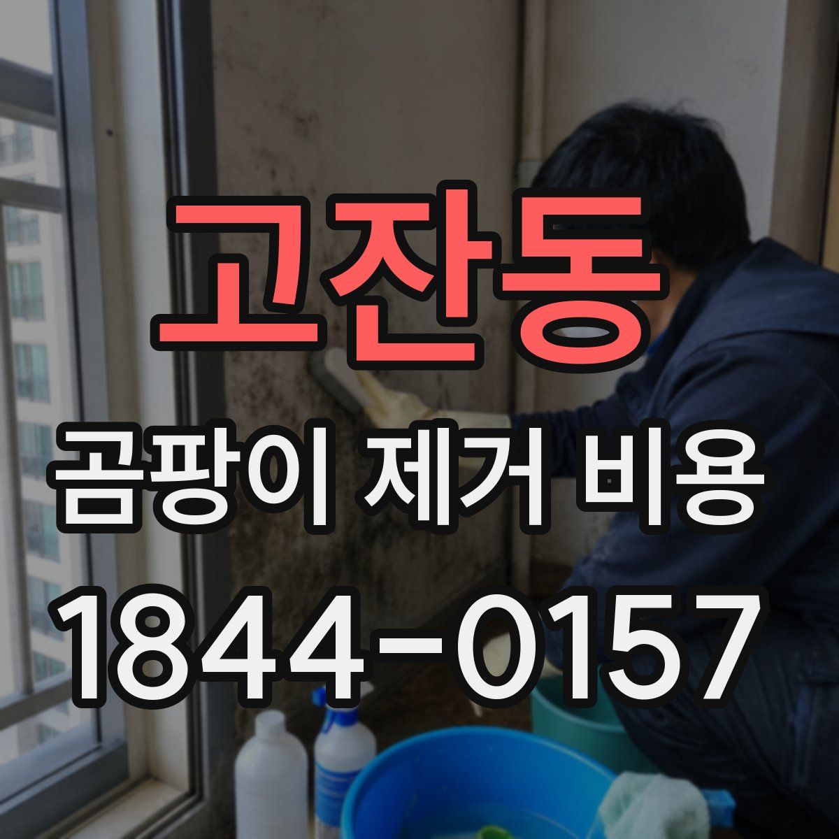 고잔동 곰팡이 제거 비용