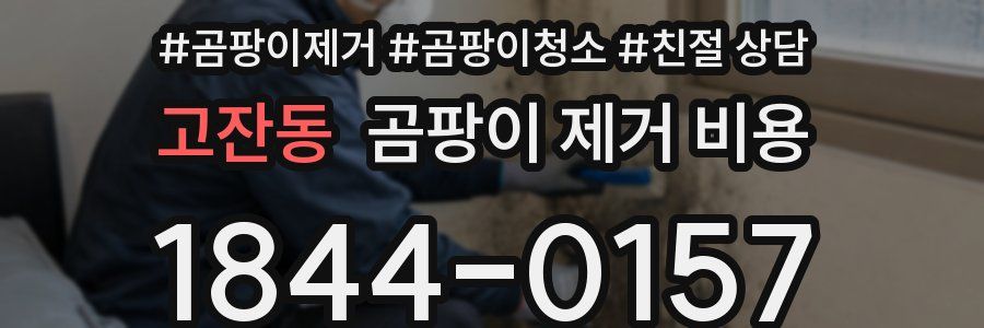 고잔동 곰팡이 제거 비용