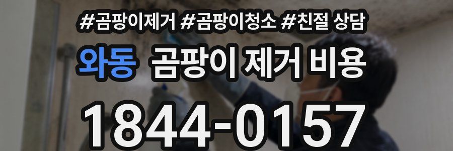 와동 곰팡이 제거 비용