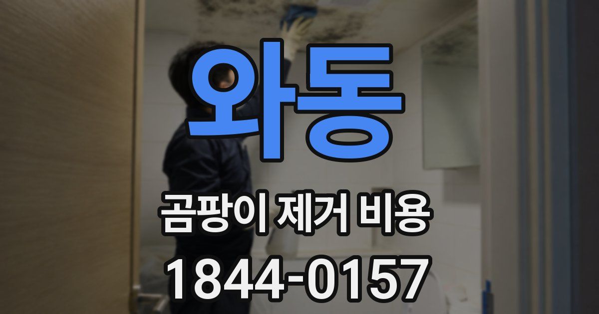 와동 곰팡이 제거 비용
