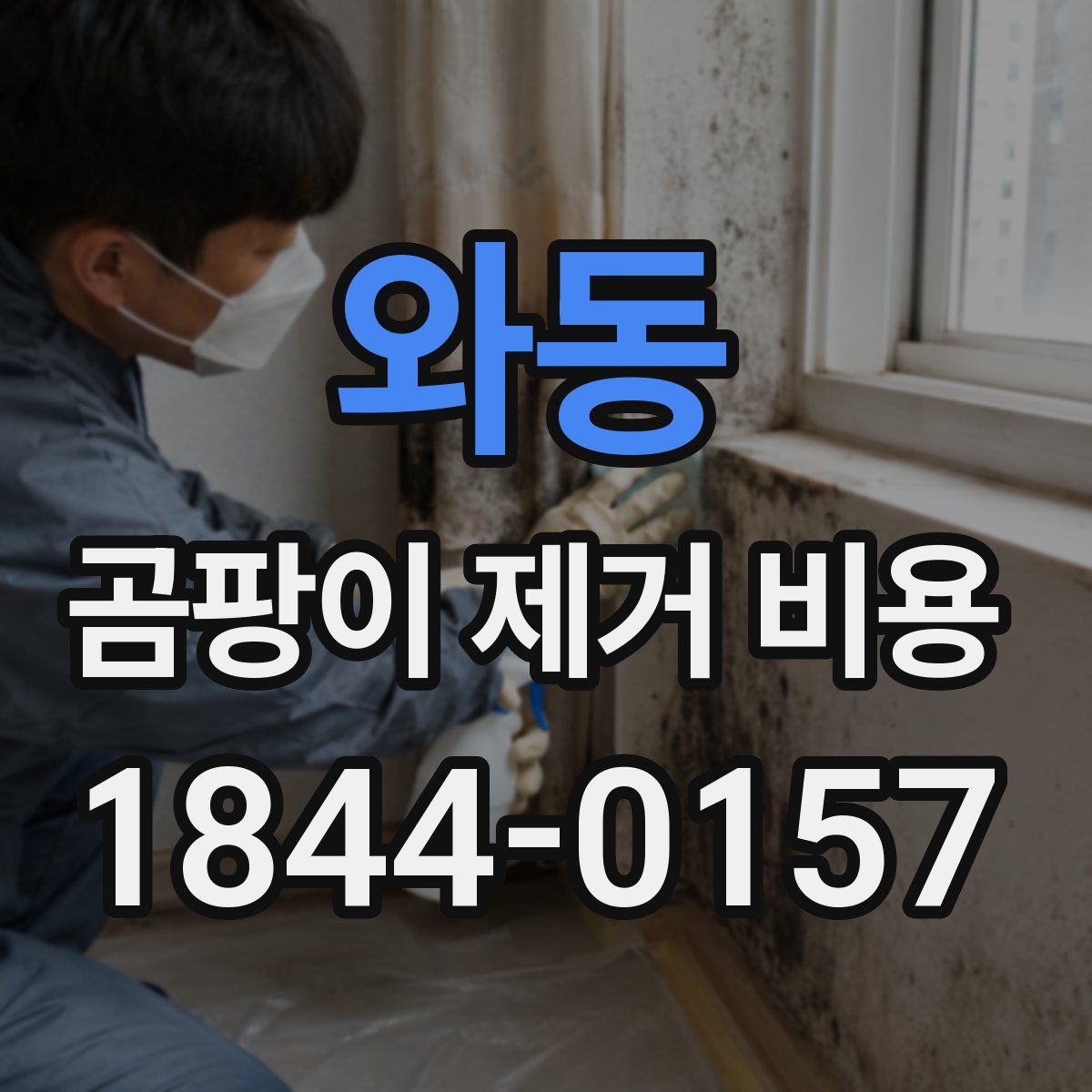 와동 곰팡이 제거 비용