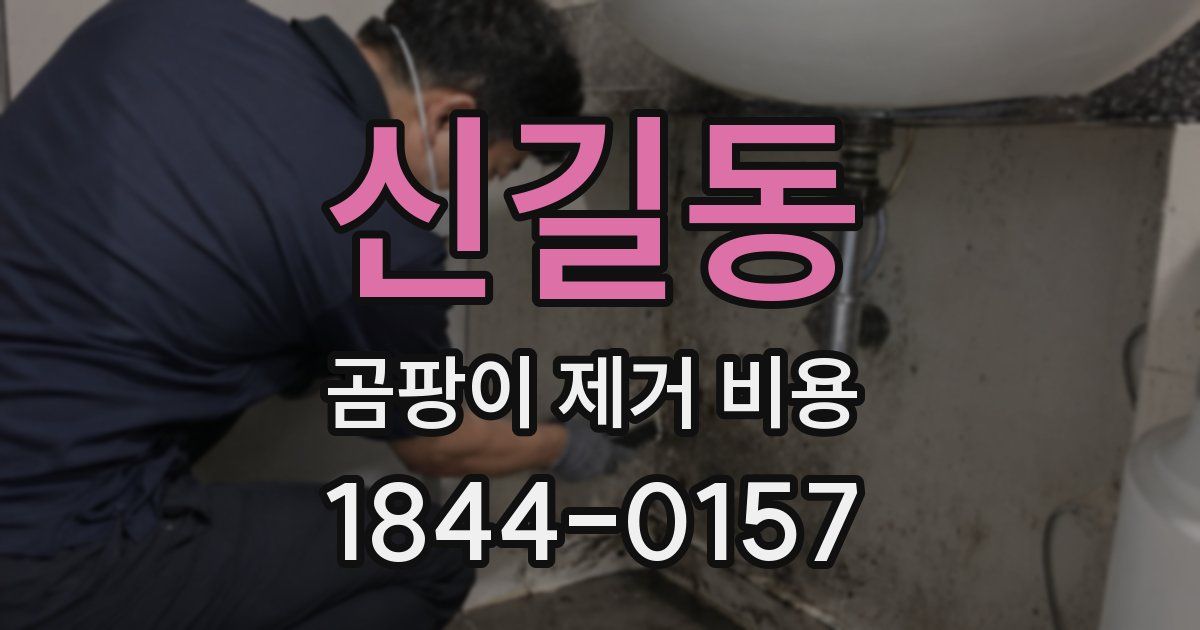 신길동 곰팡이 제거 비용