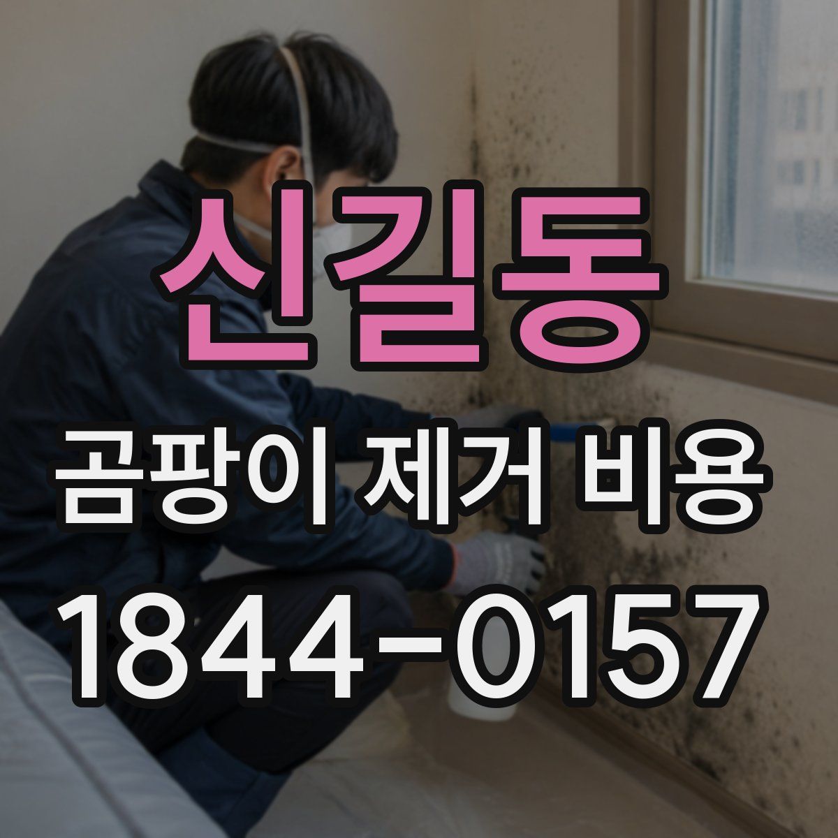 신길동 곰팡이 제거 비용