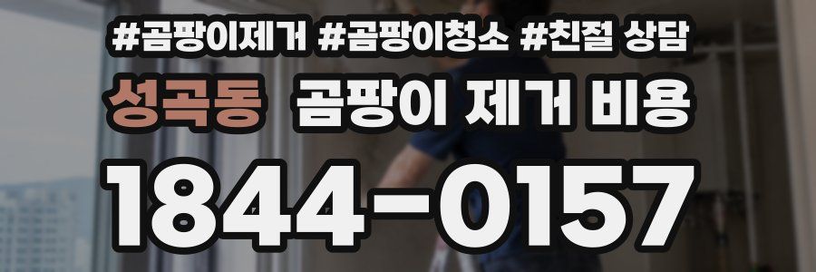 성곡동 곰팡이 제거 비용