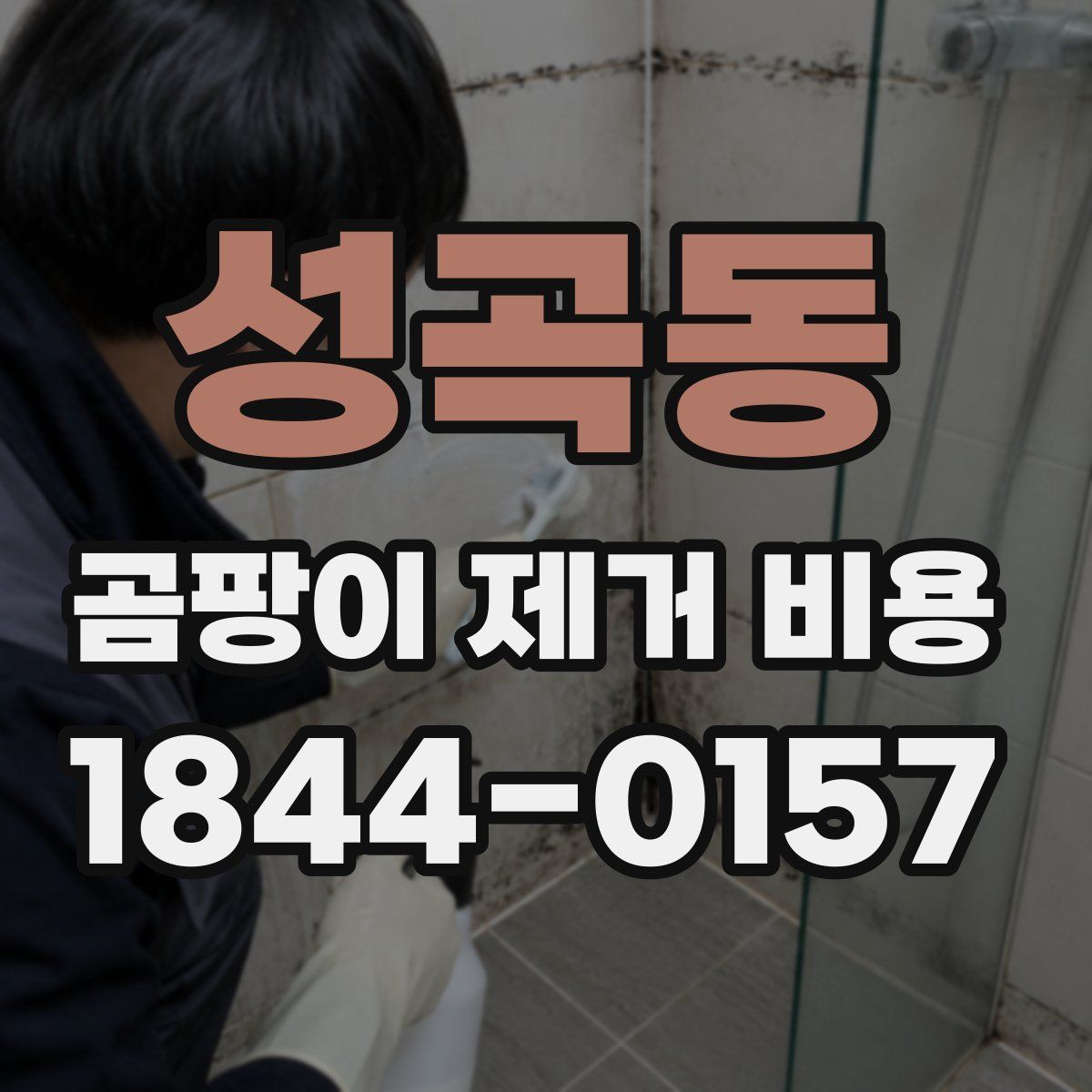성곡동 곰팡이 제거 비용