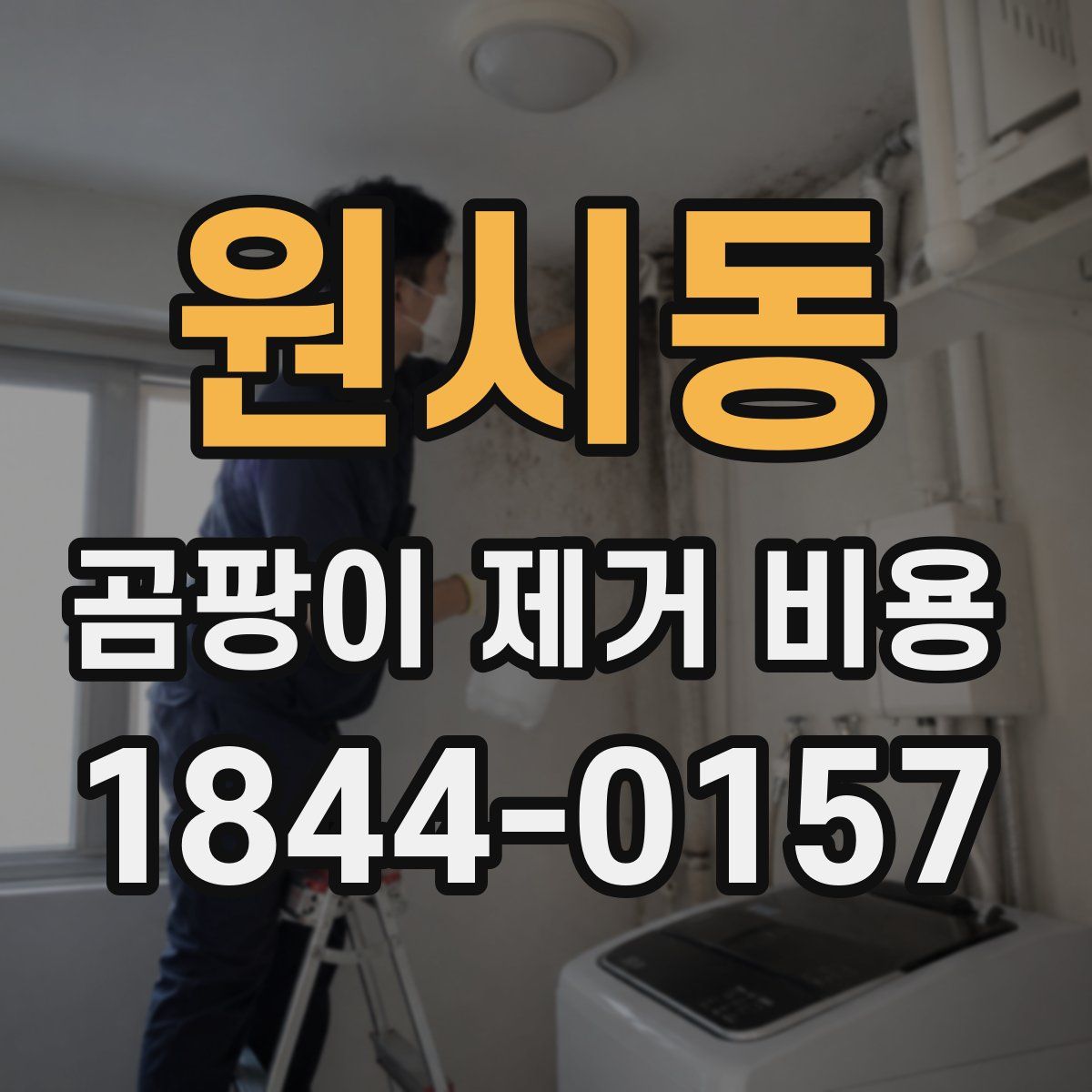 원시동 곰팡이 제거 비용