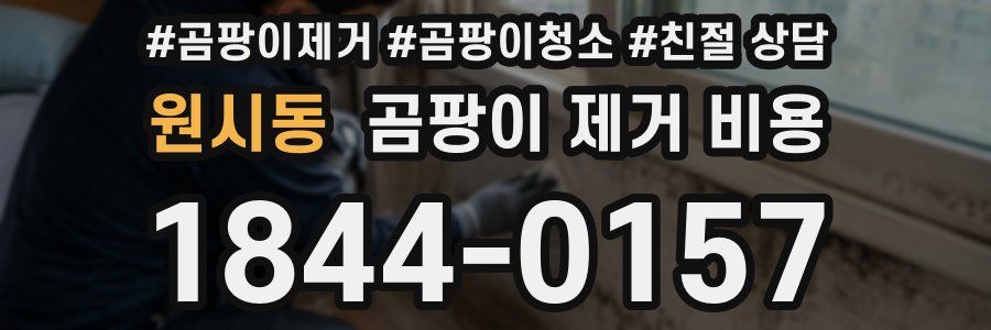 원시동 곰팡이 제거 비용