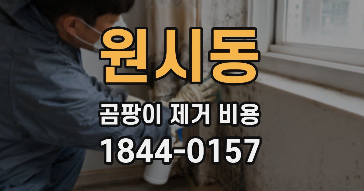 원시동 곰팡이 제거 비용