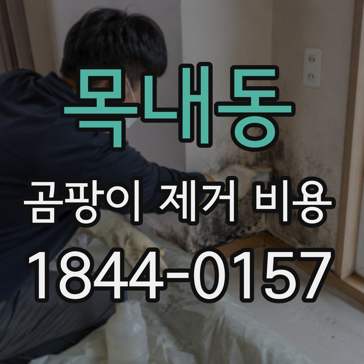 목내동 곰팡이 제거 비용