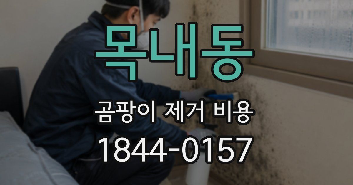 목내동 곰팡이 제거 비용