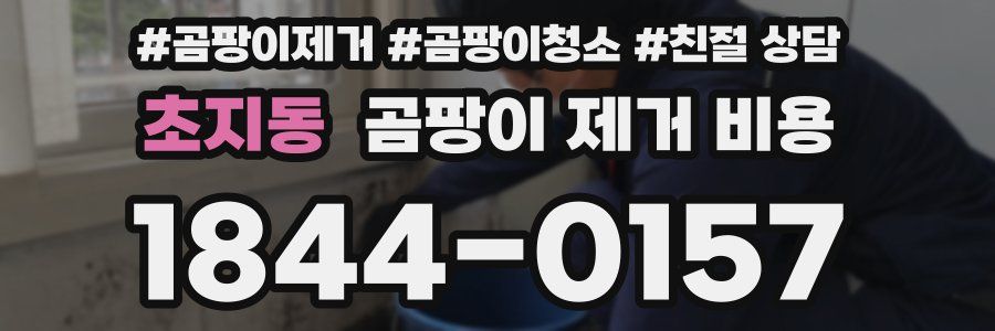 초지동 곰팡이 제거 비용