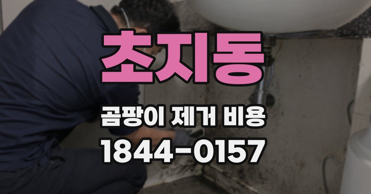 초지동 곰팡이 제거 비용