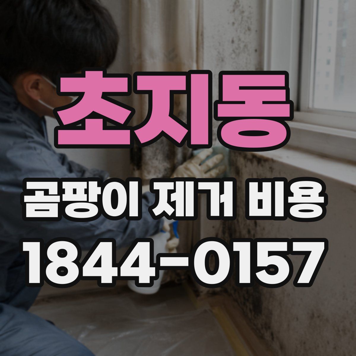 초지동 곰팡이 제거 비용