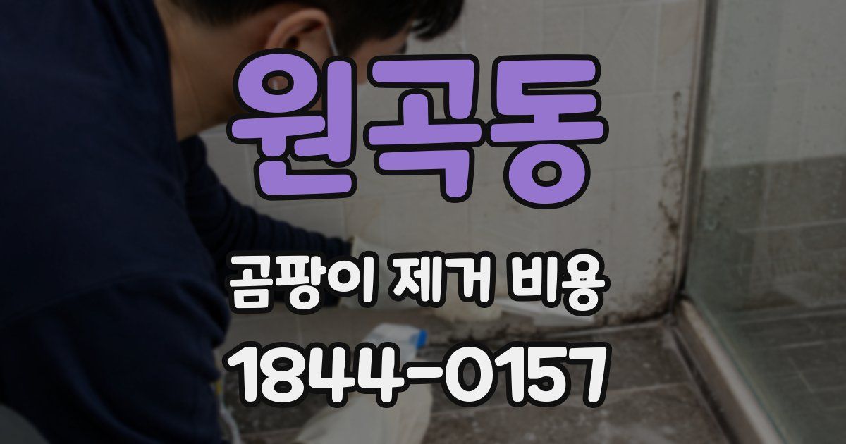 원곡동 곰팡이 제거 비용