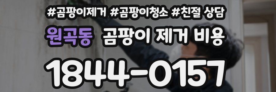 원곡동 곰팡이 제거 비용