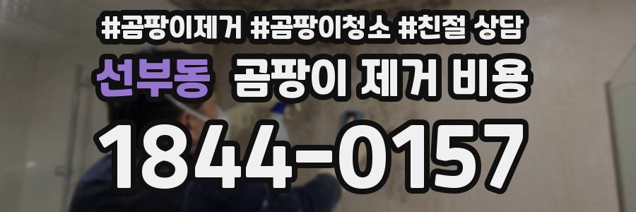 선부동 곰팡이 제거 비용