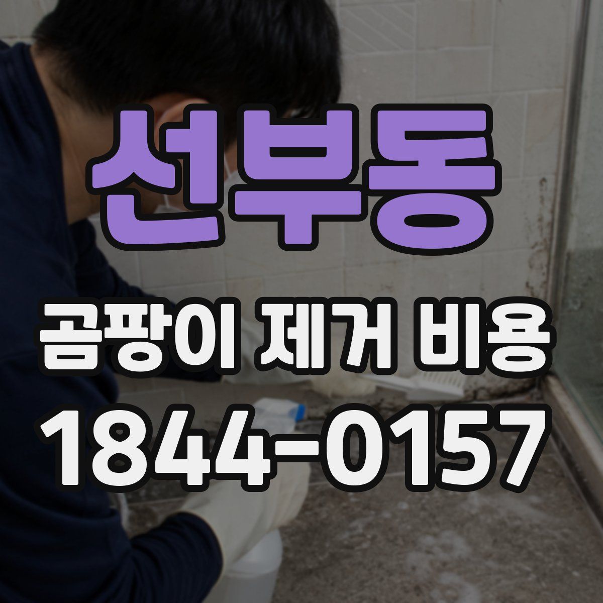 선부동 곰팡이 제거 비용