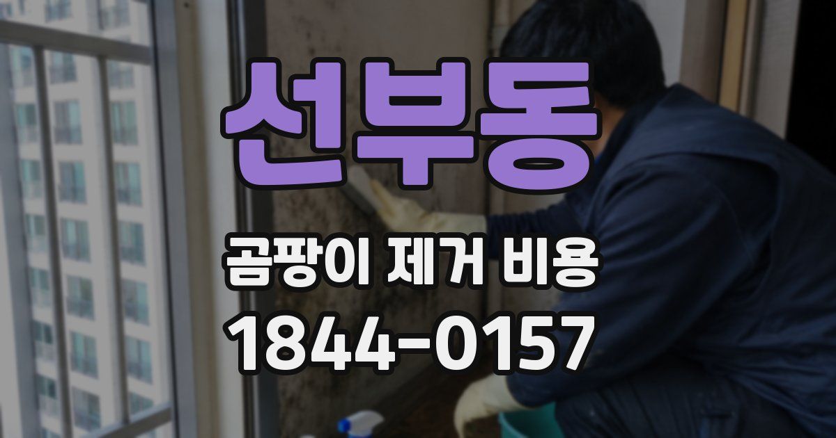 선부동 곰팡이 제거 비용