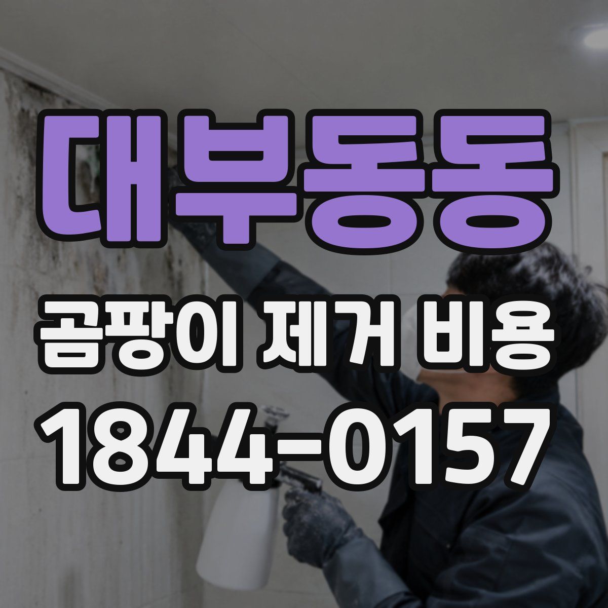 대부동동 곰팡이 제거 비용