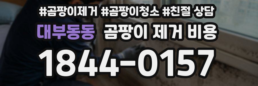 대부동동 곰팡이 제거 비용