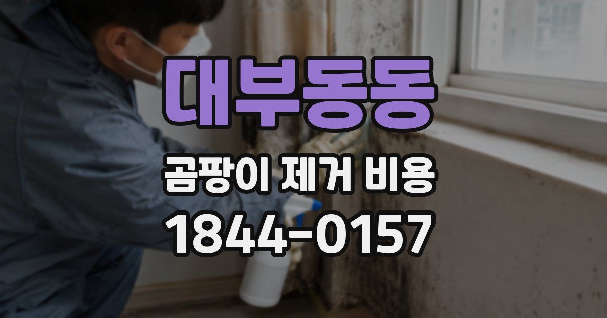 대부동동 곰팡이 제거 비용