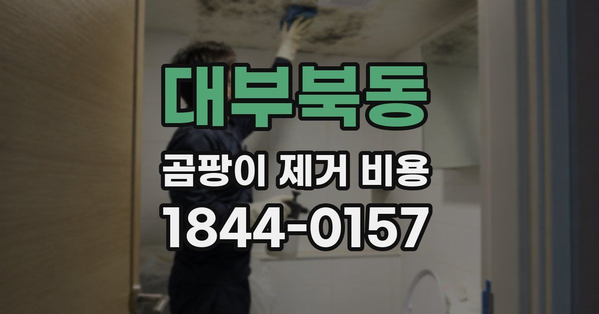 대부북동 곰팡이 제거 비용