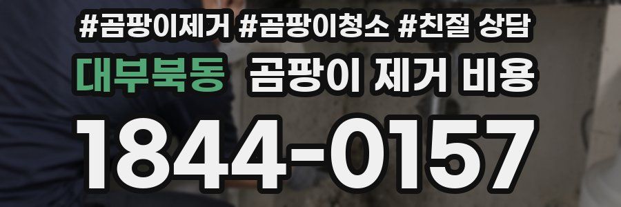 대부북동 곰팡이 제거 비용