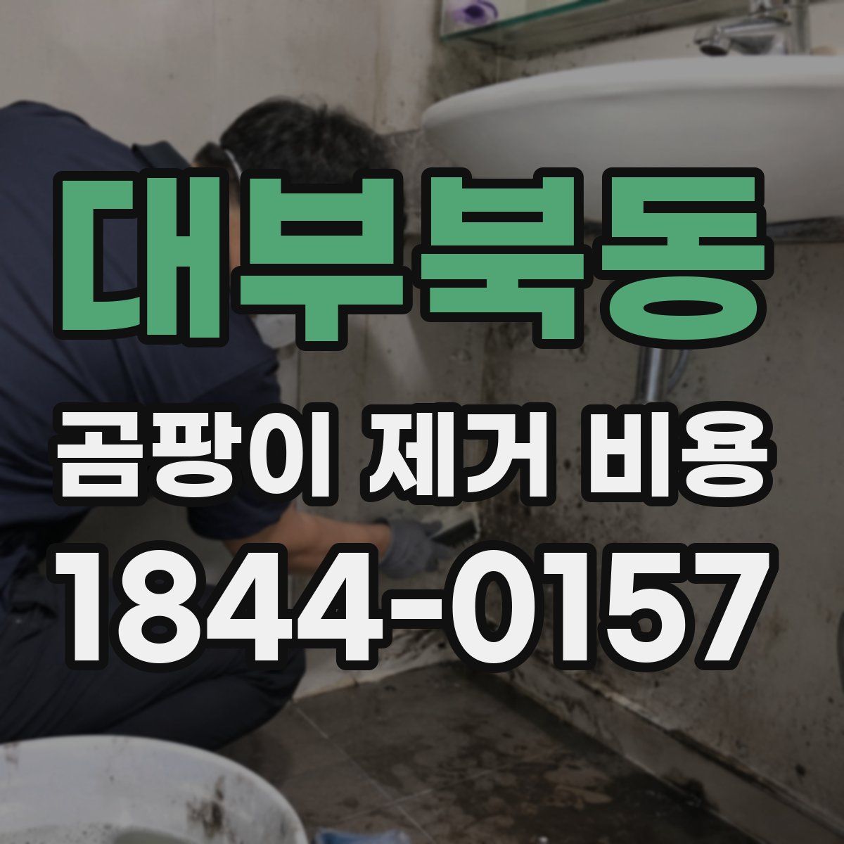 대부북동 곰팡이 제거 비용