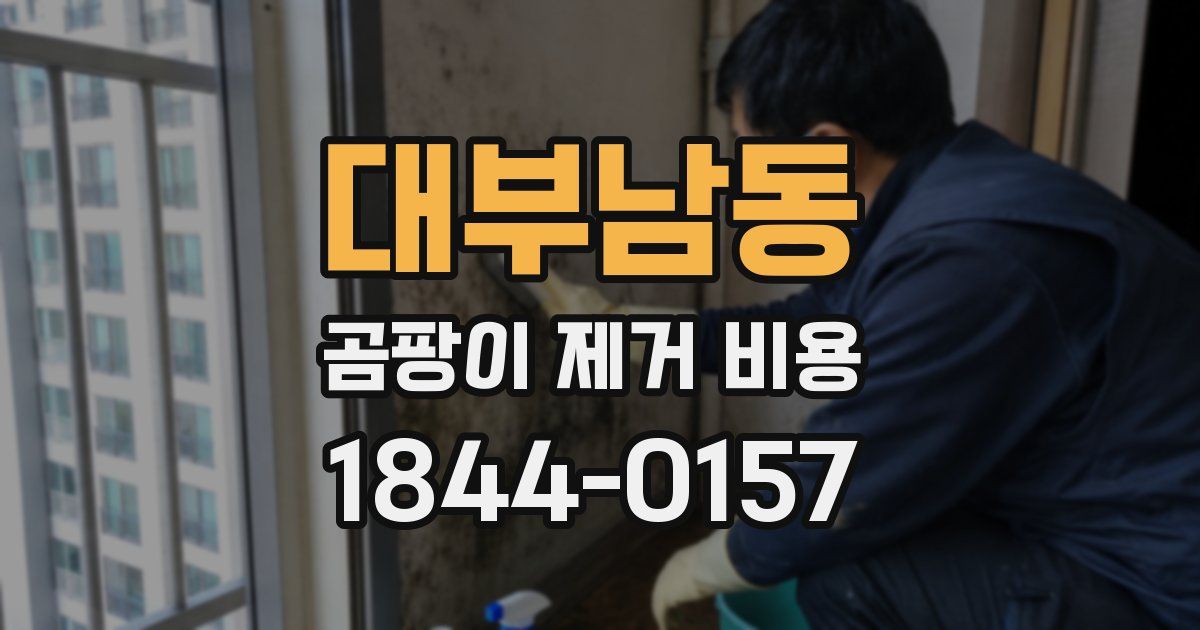 대부남동 곰팡이 제거 비용