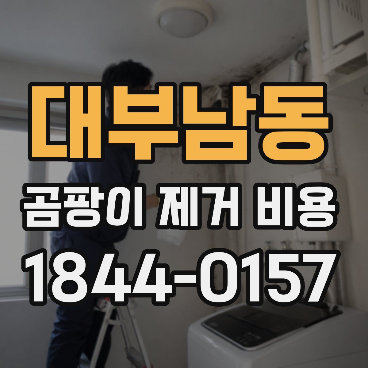 대부남동 곰팡이 제거 비용