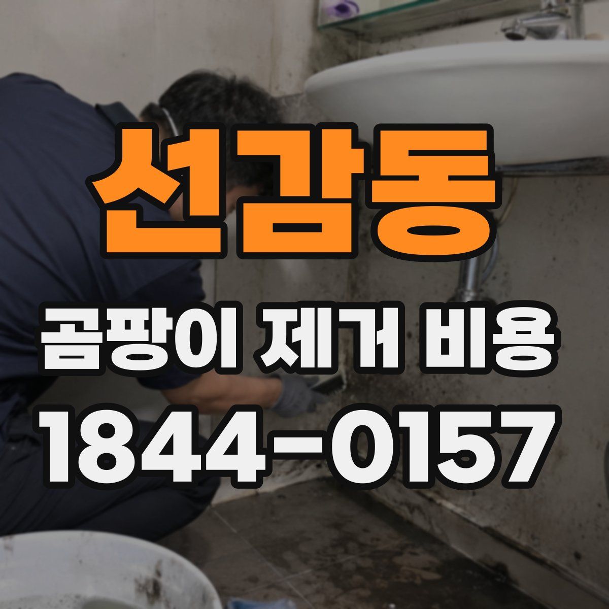 선감동 곰팡이 제거 비용