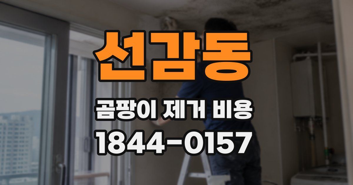 선감동 곰팡이 제거 비용