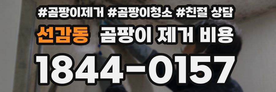 선감동 곰팡이 제거 비용