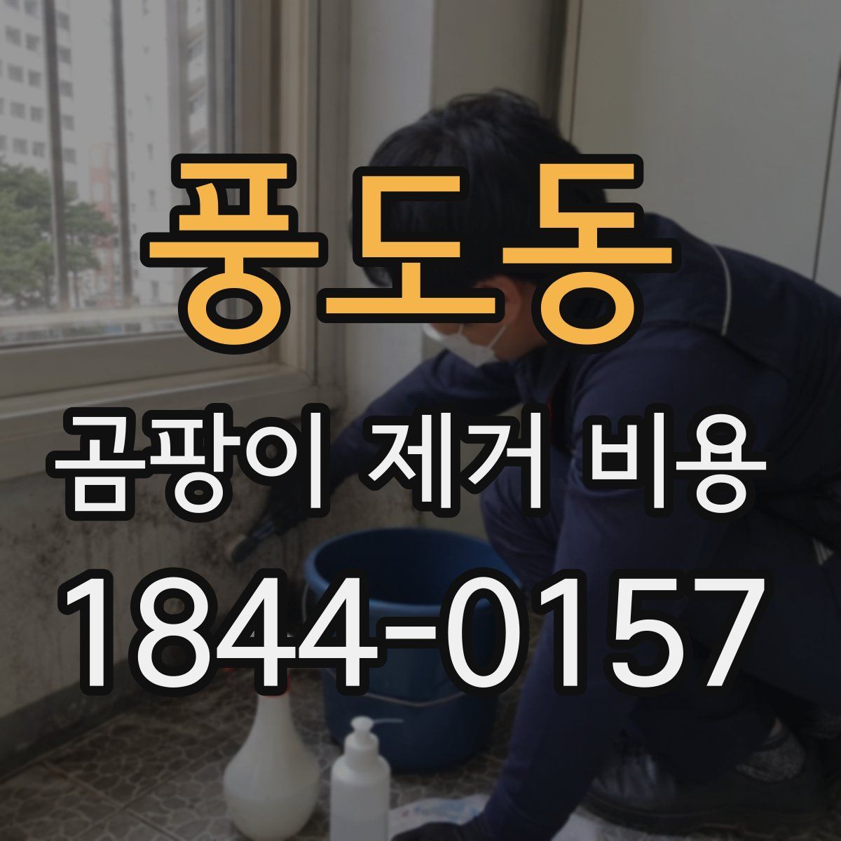 풍도동 곰팡이 제거 비용