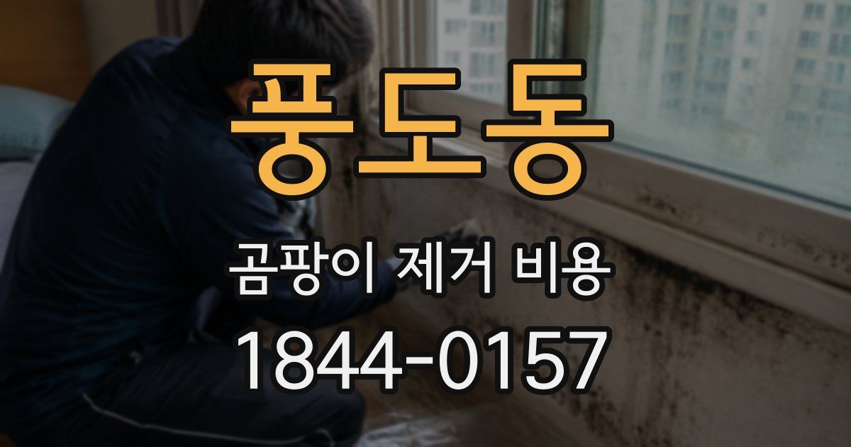 풍도동 곰팡이 제거 비용