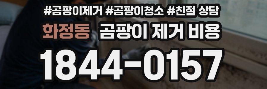 화정동 곰팡이 제거 비용
