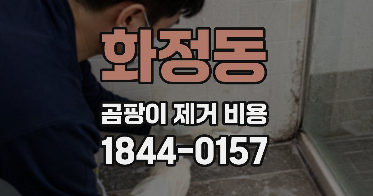 화정동 곰팡이 제거 비용