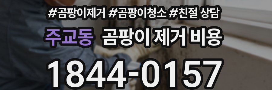 주교동 곰팡이 제거 비용