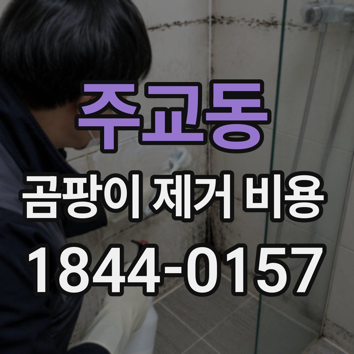 주교동 곰팡이 제거 비용