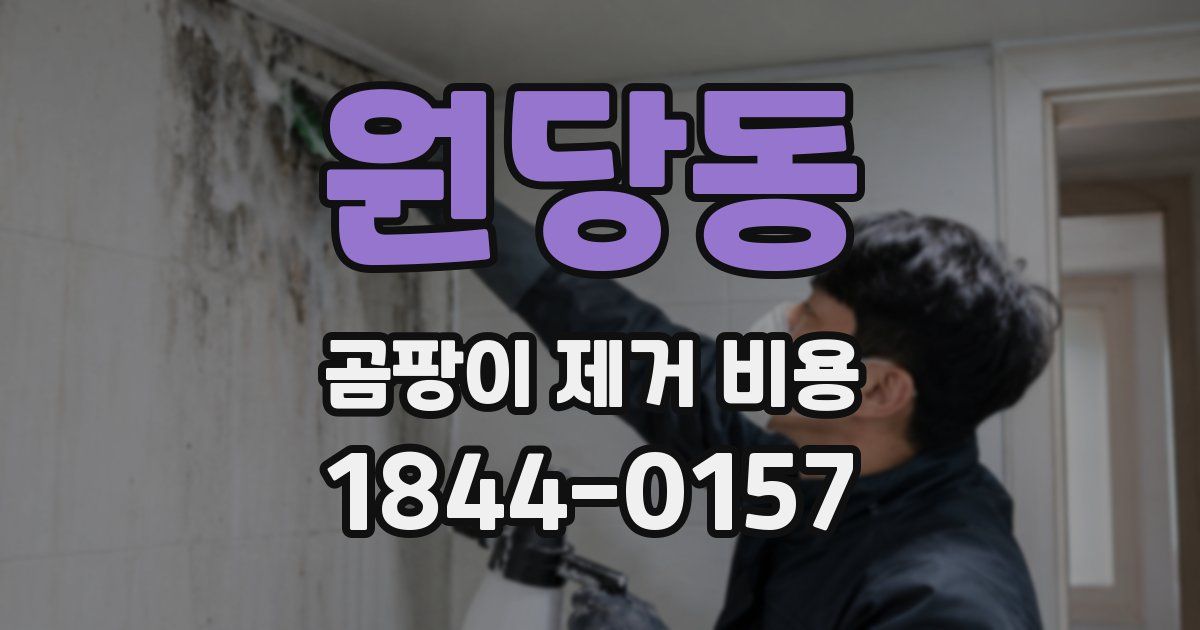 원당동 곰팡이 제거 비용