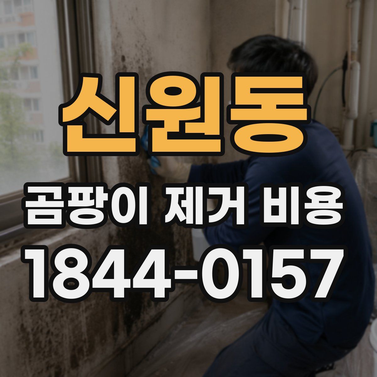 신원동 곰팡이 제거 비용