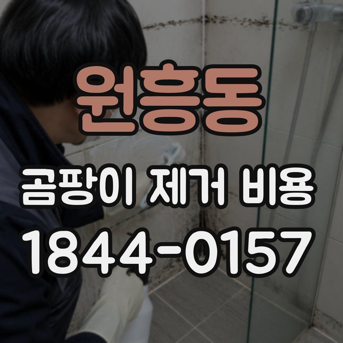 원흥동 곰팡이 제거 비용