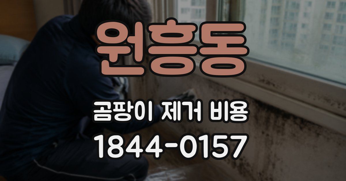 원흥동 곰팡이 제거 비용