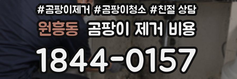 원흥동 곰팡이 제거 비용