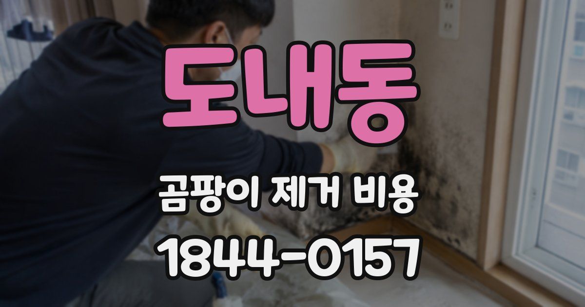 도내동 곰팡이 제거 비용
