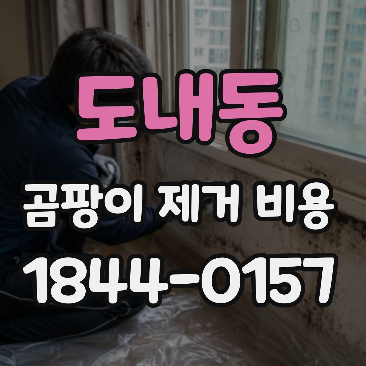 도내동 곰팡이 제거 비용