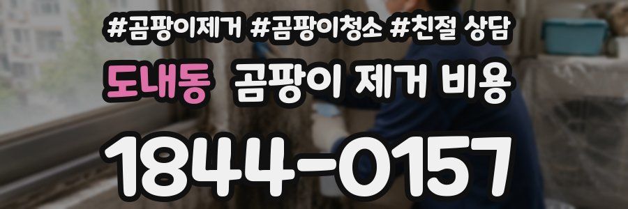 도내동 곰팡이 제거 비용
