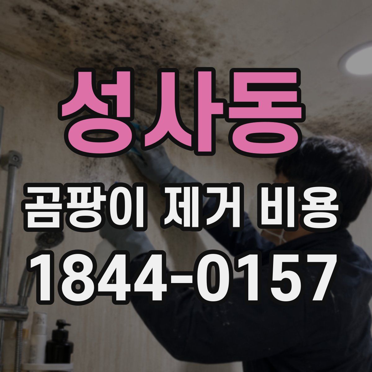 성사동 곰팡이 제거 비용