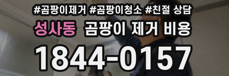 성사동 곰팡이 제거 비용