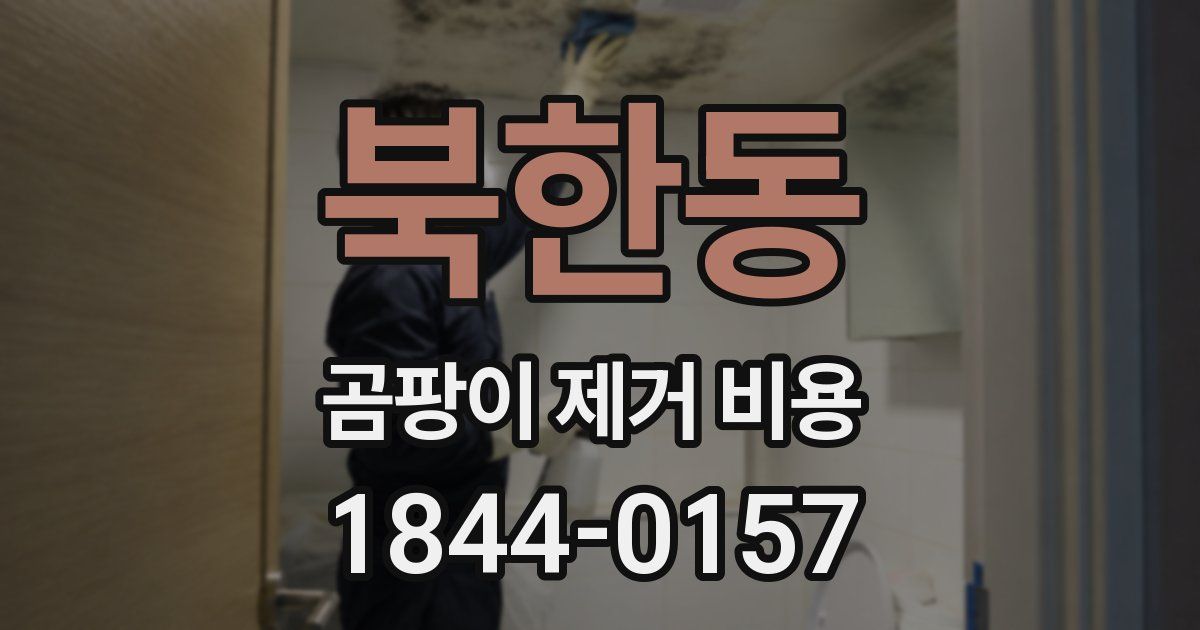북한동 곰팡이 제거 비용